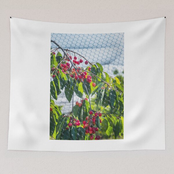 Item preview, Juicy, delicious, bright red cherries designed and sold by Martin Langer.