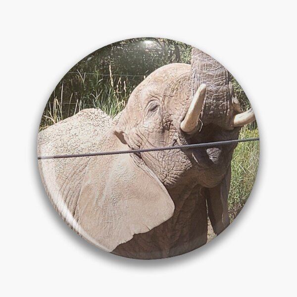 Item preview, Baby Elephant Feeding Time designed and sold by DarnNiceThings.