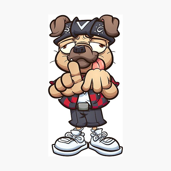 Pug Cholo Dog Pug Cholo Dog