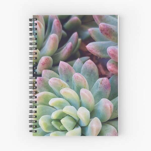 Item preview, Cue Succies designed and sold by Elsabe Smith.