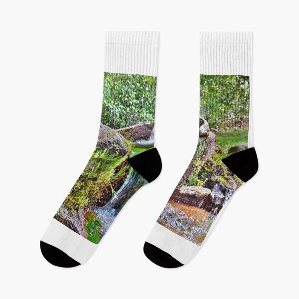 Item preview, Artesian Well And Waterfall Lee State Park South Carolina designed and sold by LisaWootenPhoto.