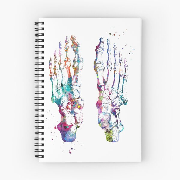 Item preview, Feet Bones Anatomy designed and sold by EvasDreams.