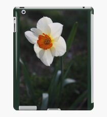 White Daffodil iPad Case/Skin