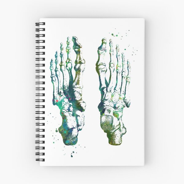 Item preview, Feet Bones Anatomy designed and sold by EvasDreams.