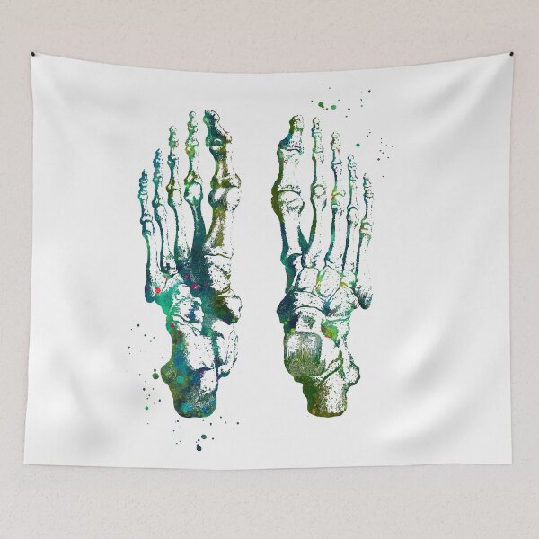 Item preview, Feet Bones Anatomy designed and sold by EvasDreams.