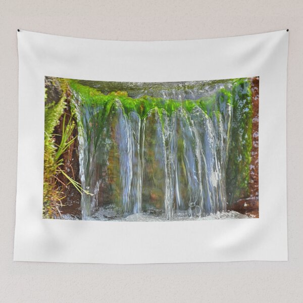 Item preview, Artesian Well Waterfall Lee State Park South Carolina designed and sold by LisaWootenPhoto.