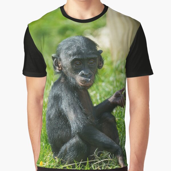 T-shirt BONOBO One white Women Clothing Bonobo Women Tops Bonobo Women Tops T-shirts Bonobo Women Top Tops T-shirts Bonobo Women 