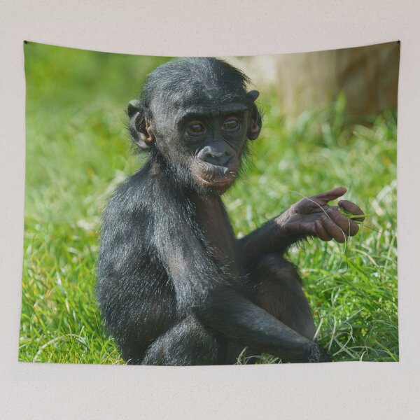 Item preview, Baby Bonobo designed and sold by rawshutterbug.
