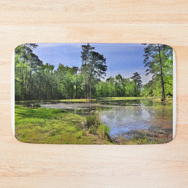 Item preview, Artesian Lake Lee State Park South Carolina designed and sold by LisaWootenPhoto.