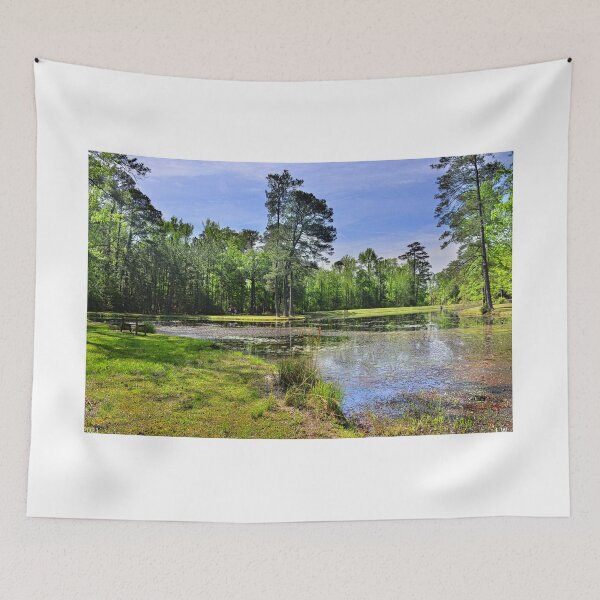 Item preview, Artesian Lake Lee State Park South Carolina designed and sold by LisaWootenPhoto.