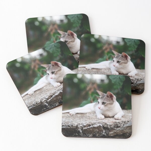 Item preview, Cute _ Cat _ Photography designed and sold by sam0471.