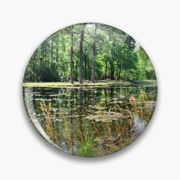 Item preview, Lee State Park South Carolina Artesian Lake designed and sold by LisaWootenPhoto.