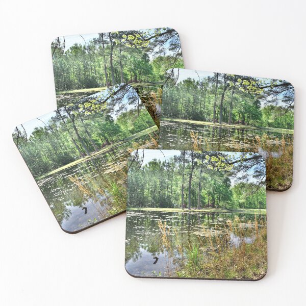 Item preview, Lee State Park South Carolina Artesian Lake designed and sold by LisaWootenPhoto.
