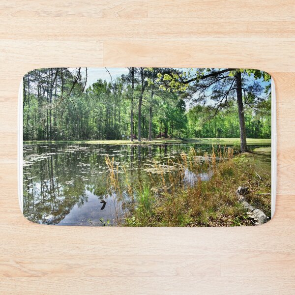 Item preview, Lee State Park South Carolina Artesian Lake designed and sold by LisaWootenPhoto.