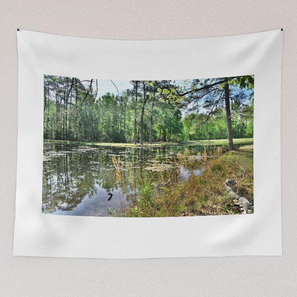 Item preview, Lee State Park South Carolina Artesian Lake designed and sold by LisaWootenPhoto.