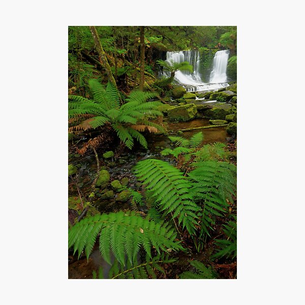 Item preview, Horseshoe Falls, Mount Field designed and sold by Kevin McGennan.