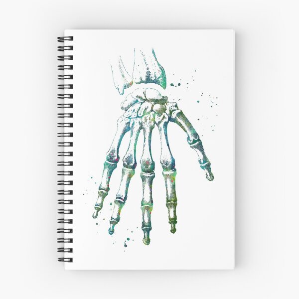 Item preview, Hand Skeletal Structure designed and sold by EvasDreams.