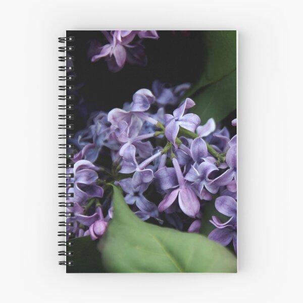 Item preview, Lilac Chiaroscuro  designed and sold by photolodico.