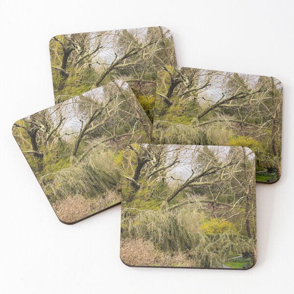 Item preview, Biltmore 41 designed and sold by rebeccaholbrook.