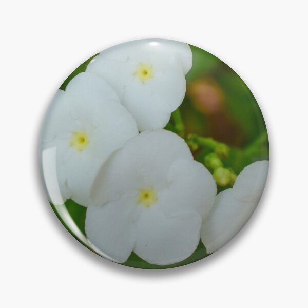 Item preview, Field of Blooming White Flowers designed and sold by Mohammed Sohail Khan.