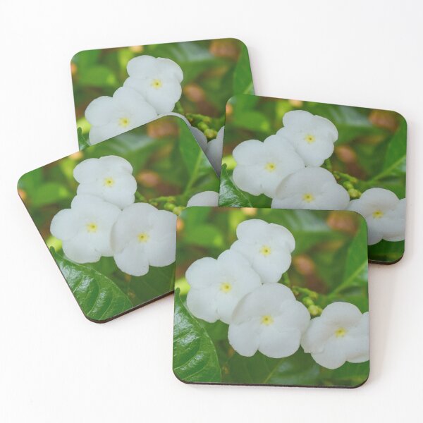 Item preview, Field of Blooming White Flowers designed and sold by Mohammed Sohail Khan.