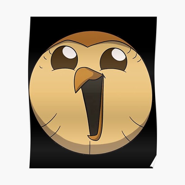 HOOTY | Perfect Gift | owl house gift Poster