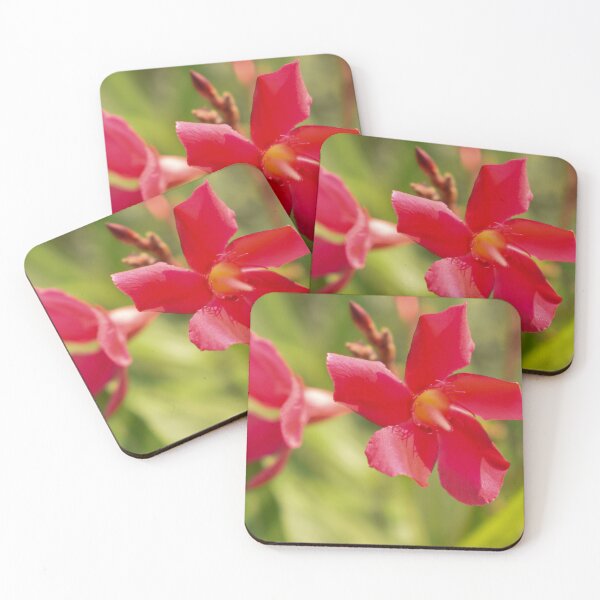 Item preview, Fresh Red Flowers Tree in Garden  designed and sold by Mohammed Sohail Khan.