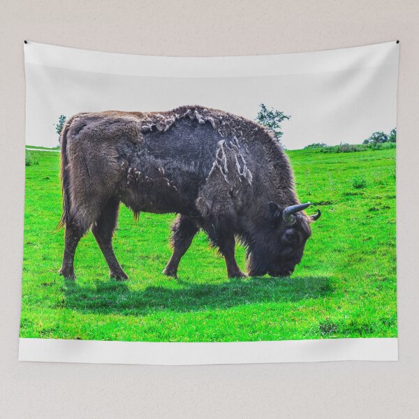 Item preview, Buffalo designed and sold by SzendeB.