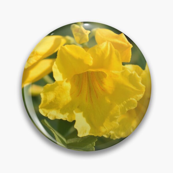 Item preview, blooming yellow flowers designed and sold by Mohammed Sohail Khan.