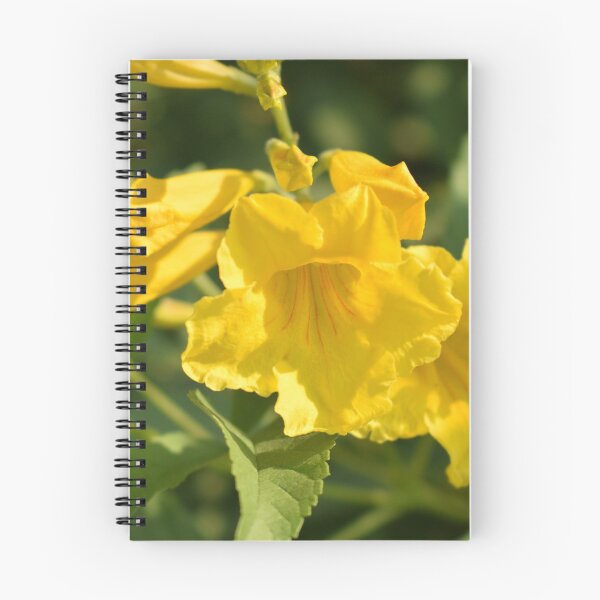 Item preview, blooming yellow flowers designed and sold by Mohammed Sohail Khan.