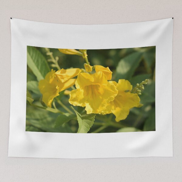 Item preview, blooming yellow flowers designed and sold by Mohammed Sohail Khan.