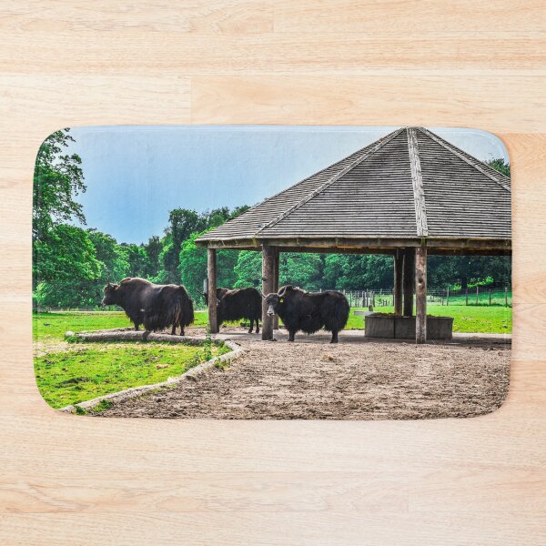 Item preview, Buffalo designed and sold by SzendeB.