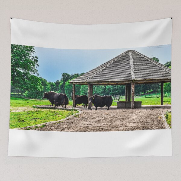 Item preview, Buffalo designed and sold by SzendeB.