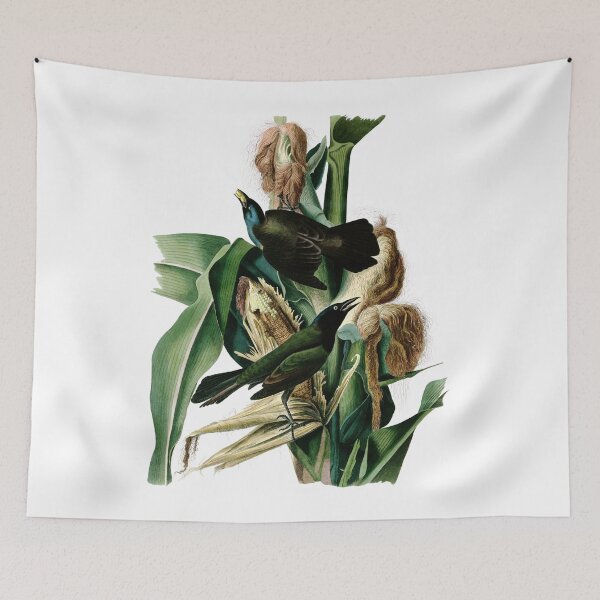 Item preview, Purple Grakle or Common Crow Blackbird. designed and sold by paulrommer.