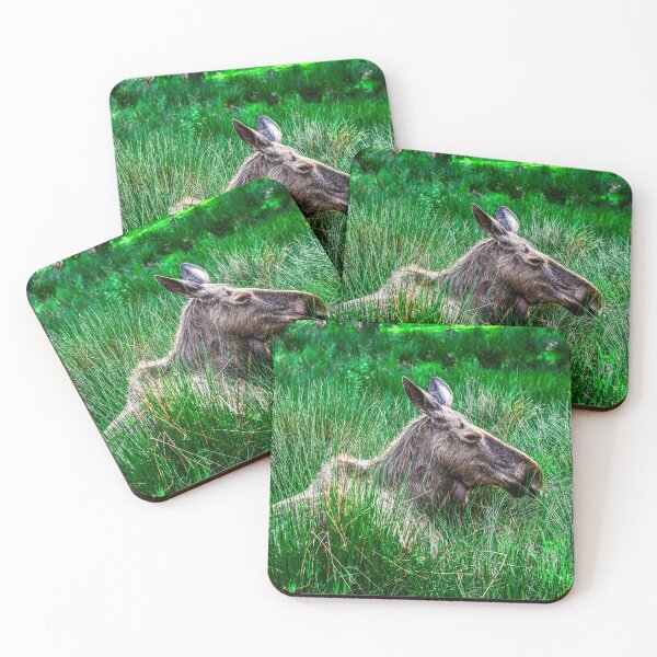 Item preview, European Moose designed and sold by SzendeB.