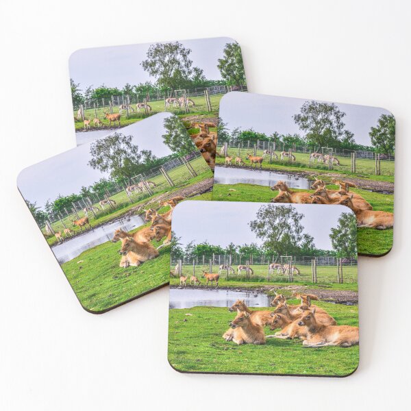 Item preview, Antelopes designed and sold by SzendeB.
