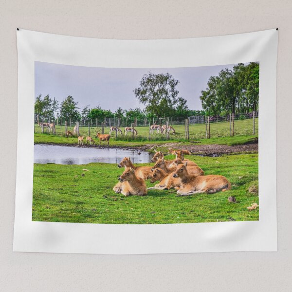 Item preview, Antelopes designed and sold by SzendeB.