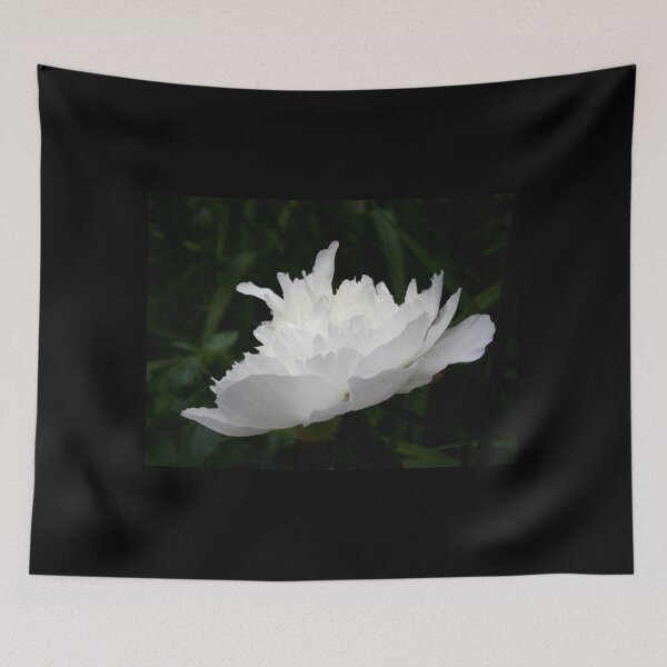 Item preview, Pagoda. Chinese peony Shirley Temple designed and sold by Jouko Lehto Photography.