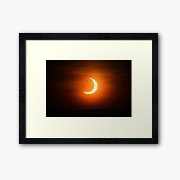 Item preview, Bird flies through annular eclipse designed and sold by momentintime97.