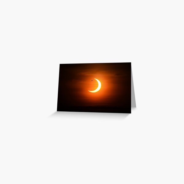 Item preview, Bird flies through annular eclipse designed and sold by momentintime97.