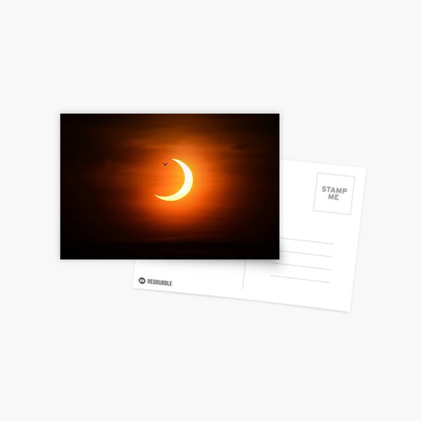 Item preview, Bird flies through annular eclipse designed and sold by momentintime97.