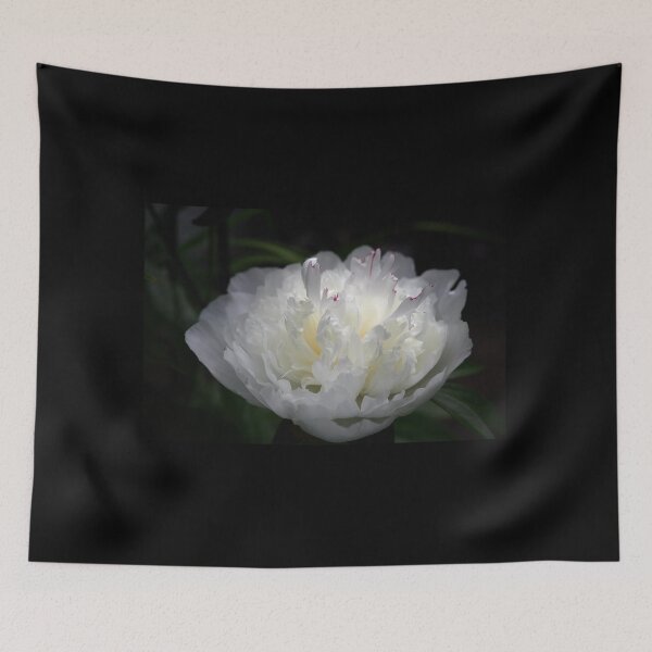 Item preview, The inner glow. Chinese peony Shirley Temple designed and sold by Jouko Lehto Photography.