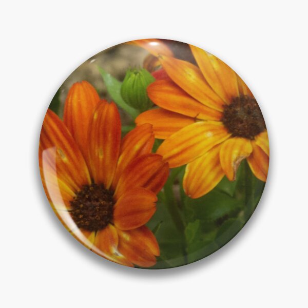 Item preview, Orange Osteospermum Flowers designed and sold by GingerMan2550.