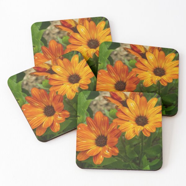 Item preview, Orange Osteospermum Flowers designed and sold by GingerMan2550.