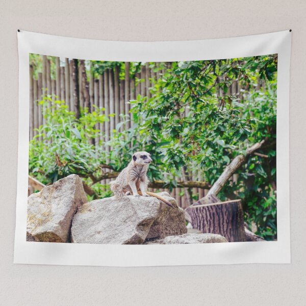 Item preview, Meerkats designed and sold by SzendeB.