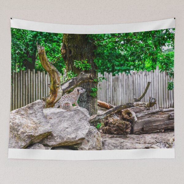 Item preview, Meerkats designed and sold by SzendeB.