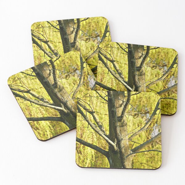 Item preview, Tree, Sunlight, and New Buds designed and sold by lightworks.