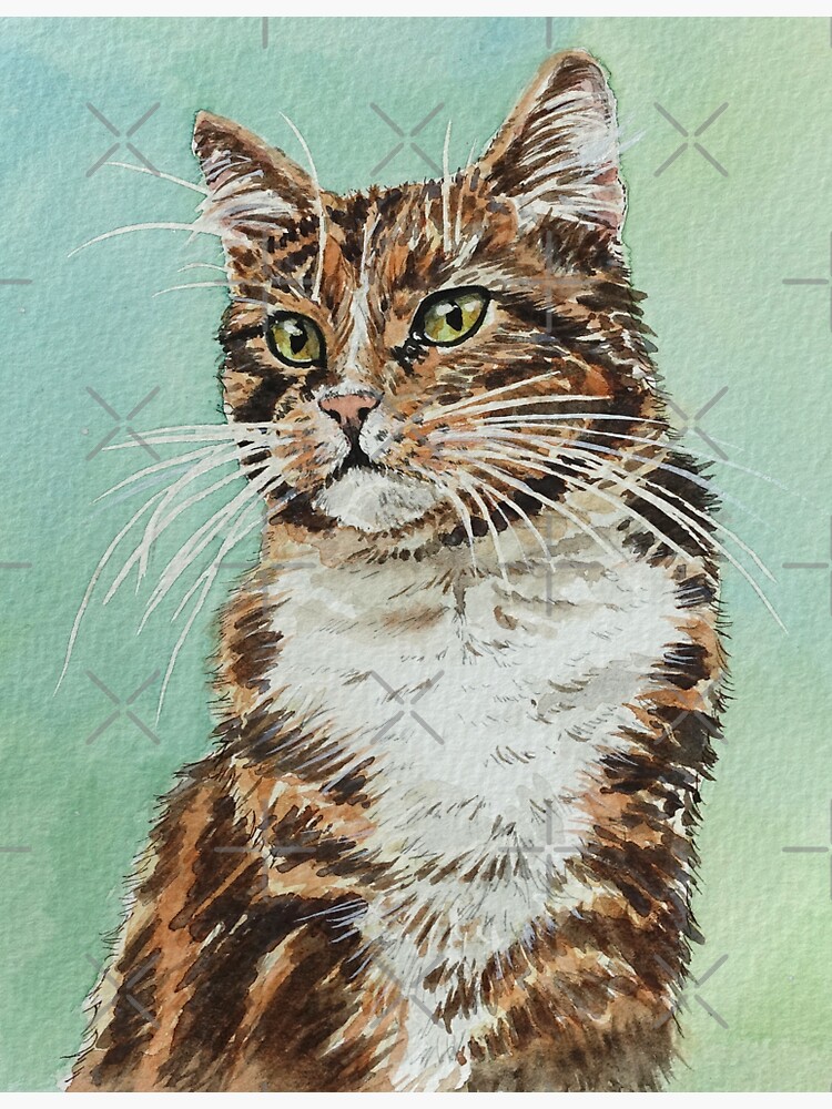 Tortoiseshell Cat by BethanyMilam