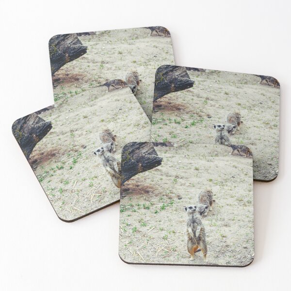 Item preview, Meerkats designed and sold by SzendeB.