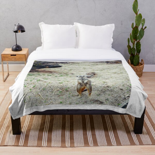 Item preview, Meerkats designed and sold by SzendeB.